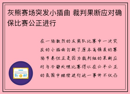 灰熊赛场突发小插曲 裁判果断应对确保比赛公正进行